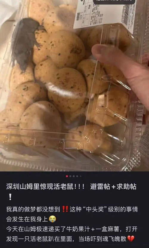 山姆會(huì)員店麻薯盒現(xiàn)活老鼠引熱議 律師指其違反食品安全法