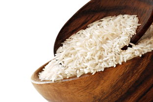 苗雞 從農(nóng)家餐桌到世界美食地圖的獨(dú)特風(fēng)味